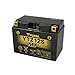 Price comparison product image YTZ12S 12V 11Ah Yuasa Motorcycle Battery