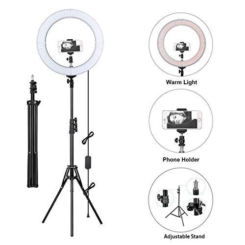 stand light for studio