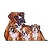 Produktbild Baoblaze 5D Tiere Diamond Painting Stickerei Set für Home Dekoration - # 2