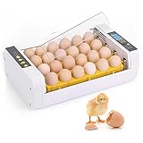 incubacion perdiz ❤【Material mejorado de PVC】: Fácil de limpiar Base transparente tramada para la visibilidad de los huevos. La construcción de plástico ABS garantiza la estabilidad y seguridad de sus huevos.