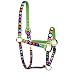 Produktbild Red Haute Horse PJ Pet Products Oxo Design Pattern High Fashion PREMIER Qualität Pferd Kopf Halsband