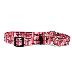 Moustaches & Stripes Red Martingale Control Dog Collar - Size Large 26