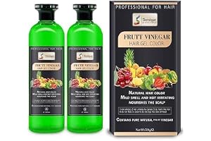 Skenique professional Fruit Vinegar Hair Gel Color for Men, Women Natural Hair Color Dye for Black Hair Dye (500ml x 2) - Black