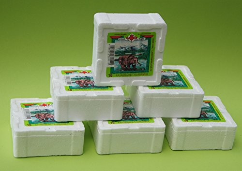 Preisvergleich Produktbild Kanadische Tauwürmer 6 x 10 Stück, Lebendköder