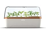 TWO-IN-ONE: Der innovative BoQube ist zugleich Gewächshaus und Pflanzkasten. Der Einlegeboden bietet Platz für 10 Quelltabletten mit idealem Abstand für Keimlinge. Wenn die Jungpflanzen kräftig genug sind, werden sie einfach in die mit Anzuchterde gefüllte Schale umgesetzt. Der Einlegeboden kann durch ein praktisches Aufsatz-Prinzip leicht entnommen werden. Die Schale bietet genügend Platz für 4 Jungpflanzen.