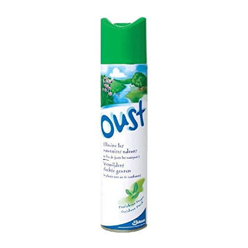 Brise - Oust purificador de aire vaporizador frescor verde 300 ml