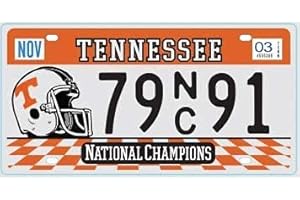 OPO 10 - Targa per Auto USA - Replica in Metallo 30x15 cm: Tennessee (C42)