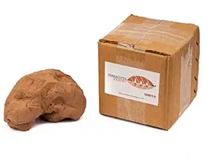 Terracotta Journey Earthen Clay (Dough) Ready to Use for Pottery Jewellery Making Home Made Organic Eco-Friendly Ganesha Natural & Soft for Kids and Adults Sculpture and Modeling Nontoxic 1kg (1)
