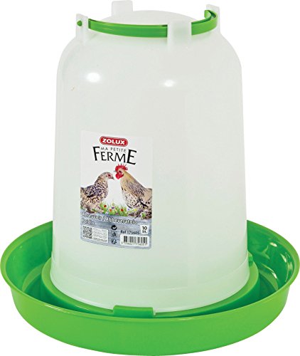 Que Faire De Vos Poules Pendant Les Vacances