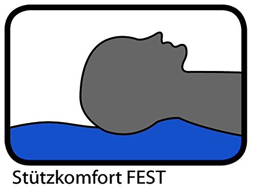 Böhmerwald 109600-35 Kopfkissen 85 % Federn / 15 % Daunen / 80 x 80 cm - 5