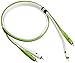 Neo NEORCAB1M d+ RCA Class B Kabel (1 m)