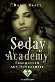 Erschaffen aus Dunkelheit (Seday Academy 3): Eine actionreiche Liebesgeschichte in acht Bänden by Karin Kratt