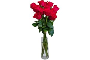 FLORES SOLIDARIAS TRABAJO & VIVIENDA FLORES SOLIDARIAS - Ramos de Flores Naturales Rosas Rojas - Ramo Fresco de Calidad para Regalo, San Valentín, Día de la Madre, Bodas, Aniversarios, Cumpleaños y Decoración del Hogar