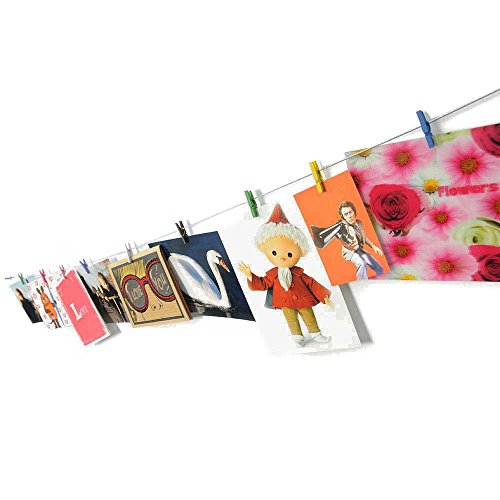 HAB & GUT -MC402- Cuerda Fotos de Acero 120 cm con 10 Pinzas Coloridas de Madera