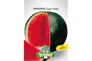 Sementi orticole di qualità l'ortolano in busta termosaldata (160 varietà) (ANGURIA SUGAR BABY)
