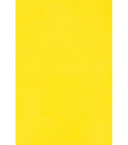 Carton Brique 250g A4 Netuno - 10 Feuilles Terra Rossa - Écologique DIY Déco, Cartes, Invitations