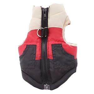 Cappottini e giubbotti per cani Chihuahua