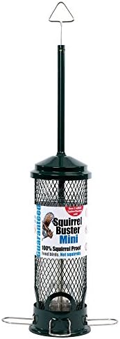 Brome 100% Squirrel Proof Buster Mini Hanging Wild Garden Bird Seed Mix Feeder by Happy Beaks