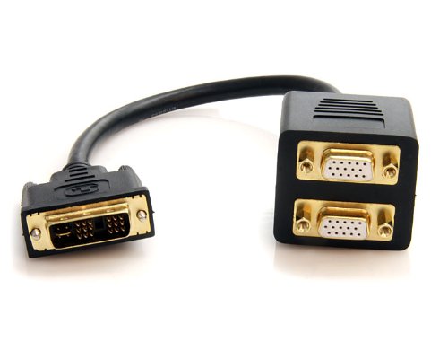 StarTech.Com DVISPL1VV DVI auf 2x VGA 30 cm Splitter Kabel