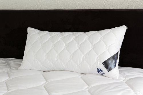 Badenia Bettcomfort 03840320108 Kissen Irisette Edition 40 x 80 cm weiß - 2
