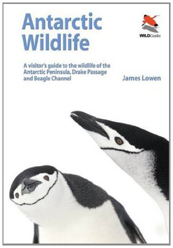 Antarctic Wildlife – A Visitor`s Guide (Wildguides)