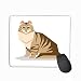 Produktbild Mouse pad Vector Image American curl cat Breed White Background American steelseries Keyboard