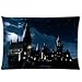 Produktbild shengpeng Harry Potter Hogwarts 9 and 3 4 Station Fonts Custom Decorative Pillows Pillowcases Pillow Bedding Bedroom Design Throw Pillow Case Cover 18x18 Inchs Two Sides Cartoon Movie Series