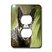 Price comparison product image 3dRose LSP_4789_6 Australian Cattle Dog 2 Plug Outlet Cover