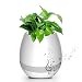 Music Flower Pot Bluetooth Speaker RS.3389.00