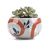Esas macetas son ideales para agregar un toque de diseño refrescante y moderno a su hogar.