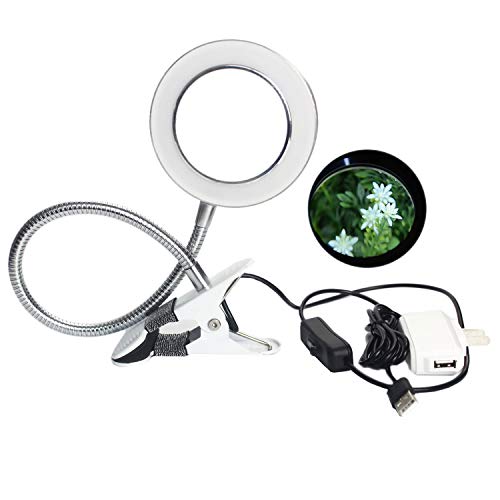 Fightart Portable LED clip luce permanente sopracciglio Tattoo Tattoo nail mantello rossetto Tattoo beauty Care nail Salon USB (luce fredda)