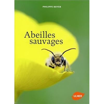 Abeilles sauvages