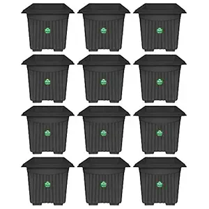 TrustBasket UV Treated Square Plastic Planter (10 inches) - Black Color- Set of 12