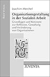 Organisationsgestaltung in der Sozialen Arbeit: Grundlagen und Konzepte zur Reflexion, Gestaltung und Veränderung von Organisationen (Reihe Votum) by 