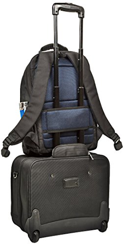 RIVACASE Notebook Rucksack bis 17 3    - Elegante Tasche mit Trolley Befestigung und zwei speziellen F  chern f  r Wasser - Schwarz
