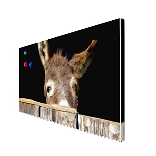 banjado – Pinnwand Magnettafel weiß 78cm x 37cm quer mit Motiv Esel - 3