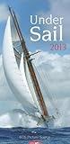 Under Sail 2013 by 