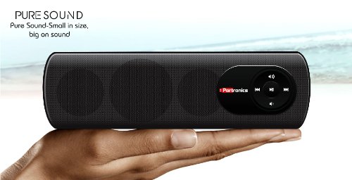 portronics pure sound portable speaker system