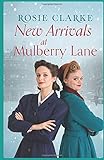 New Arrivals at Mulberry Lane (Mulberry Lane Series)