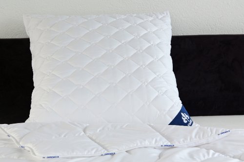 Badenia 3840850123 Bettcomfort Kissen, Irisette Micro Thermo 80 x 80 cm weiß - 2