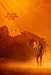 Produktbild BLADE RUNNER 2049 – Harrison Ford – US Movie Wall Poster Print - 30CM X 43CM Brand New