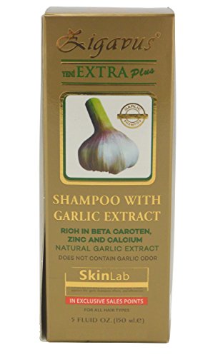 Zigavus Extra Plus Knoblauch Shampoo Original Gold 150ml gegen intensiven Haarausfall! Geruchsneutral! Anti Schuppen! Haarpflege! - 4