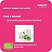 Babypotz - 20 90ml BPA Free Plastic Reusable Containers for Freezing Baby Food / Weaning Pots