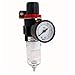 Produktbild AF2000 Kompressor Radkränzen Luftfilter Vergleichsnr 0.64 cm PT W Manometer