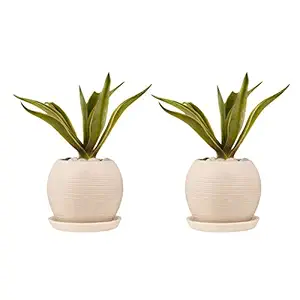 Lasaki Globe Ceramic Pots with Plate for Indoor, Outdoor, Garden, Balcony, Plants, Planters, Flower Pots, Gamla Succulent Pot (Pot: White, Plate: White cir002) Set of 2