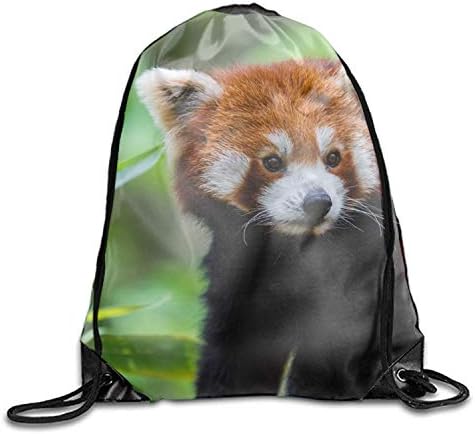 Pillow Socks Cool Drawstring Backpack Animal Red Panda Print Drawstring Backpack Rucksack Shoulder Bags Gym Bag