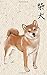 Produktbild Shiba Notebook: Shiba Inu College Ruled Composition Notebooks with Shiba Written in Kanji, 120 Blank Lined Pages, 5" x 8", Perfect Lined Paper Writing ... College Ruled Composition Notebooks, Band 5)