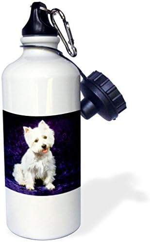 Statuear Westie Aluminum 20 Ounce 600ML Sports Water Bottle Gift
