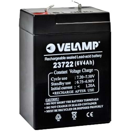 Amazon.fr Batterie Quad Electrique 6v