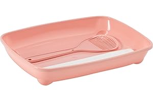 Moderna KITTEN STARTER KIT PINK